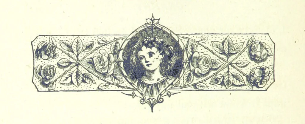 An illustration from Who Fired the First Shot? or, Ned Rusheen. An Irish story, 1883, leaf 224