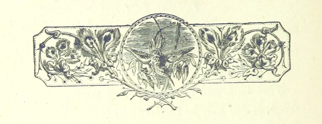 An illustration from Who Fired the First Shot? or, Ned Rusheen. An Irish story, 1883, leaf 266