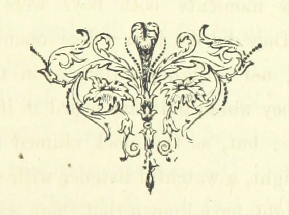 An illustration from Who Fired the First Shot? or, Ned Rusheen. An Irish story, 1883, leaf 27