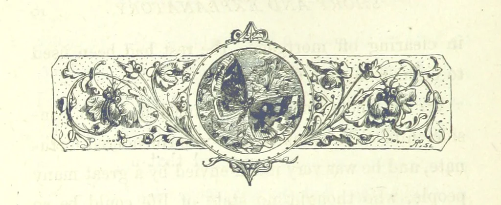 An illustration from Who Fired the First Shot? or, Ned Rusheen. An Irish story, 1883, leaf 28