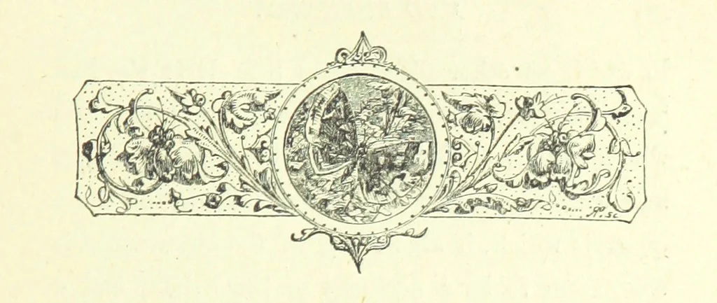 An illustration from Who Fired the First Shot? or, Ned Rusheen. An Irish story, 1883, leaf 289