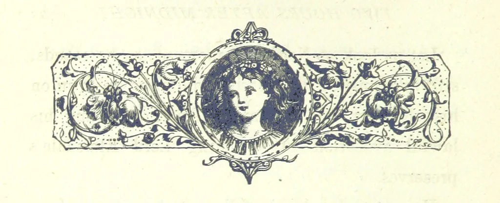 An illustration from Who Fired the First Shot? or, Ned Rusheen. An Irish story, 1883, leaf 32