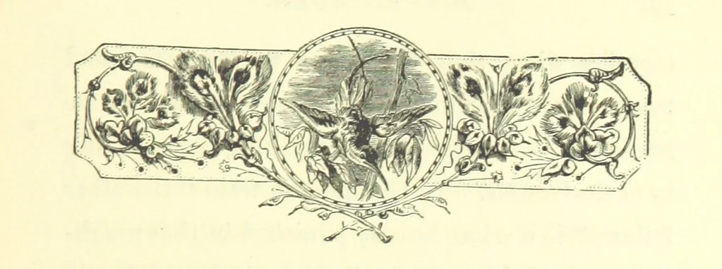 An illustration from Who Fired the First Shot? or, Ned Rusheen. An Irish story, 1883, leaf 365