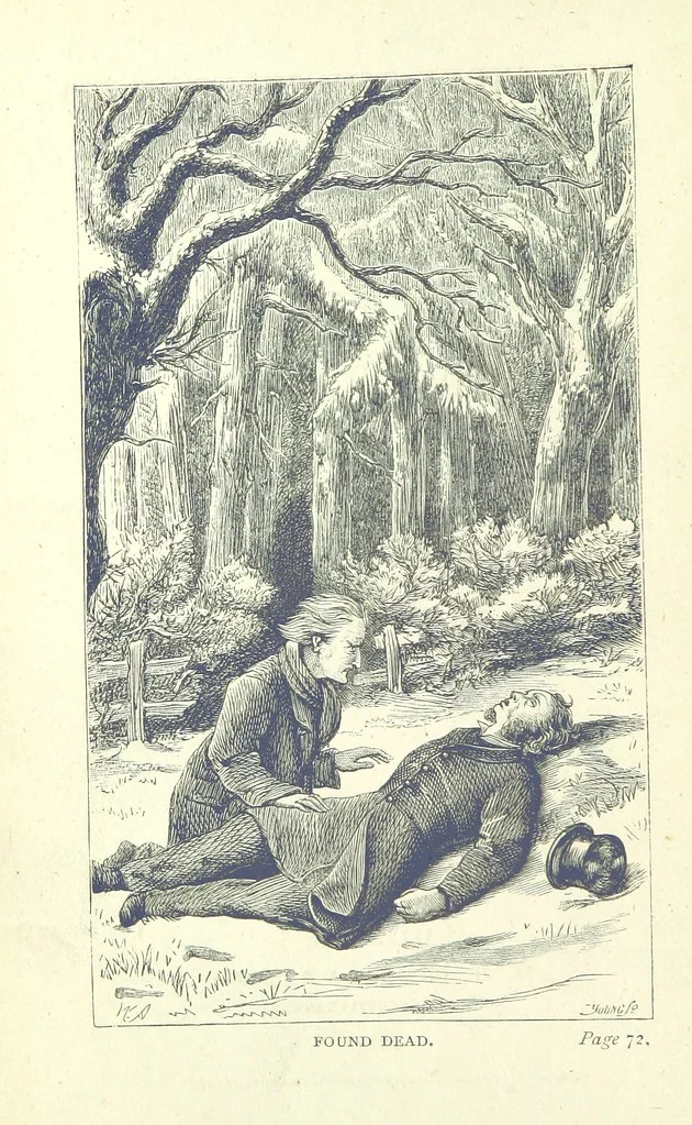 An illustration from Who Fired the First Shot? or, Ned Rusheen. An Irish story, 1883, leaf 6