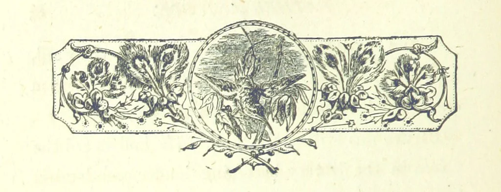 An illustration from Who Fired the First Shot? or, Ned Rusheen. An Irish story, 1883, leaf 76