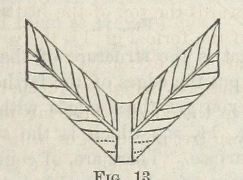 An illustration from Works. Popular edition.] 2 series, 1886, leaf 589