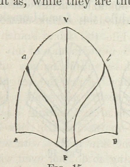 An illustration from Works. Popular edition.] 2 series, 1886, leaf 593