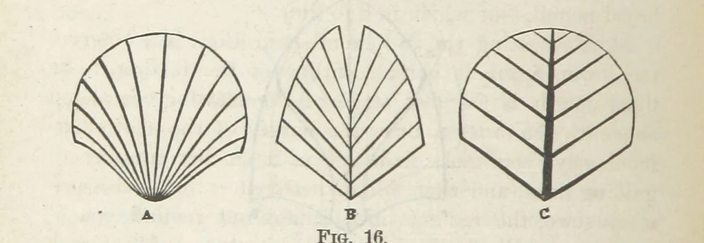 An illustration from Works. Popular edition.] 2 series, 1886, leaf 594