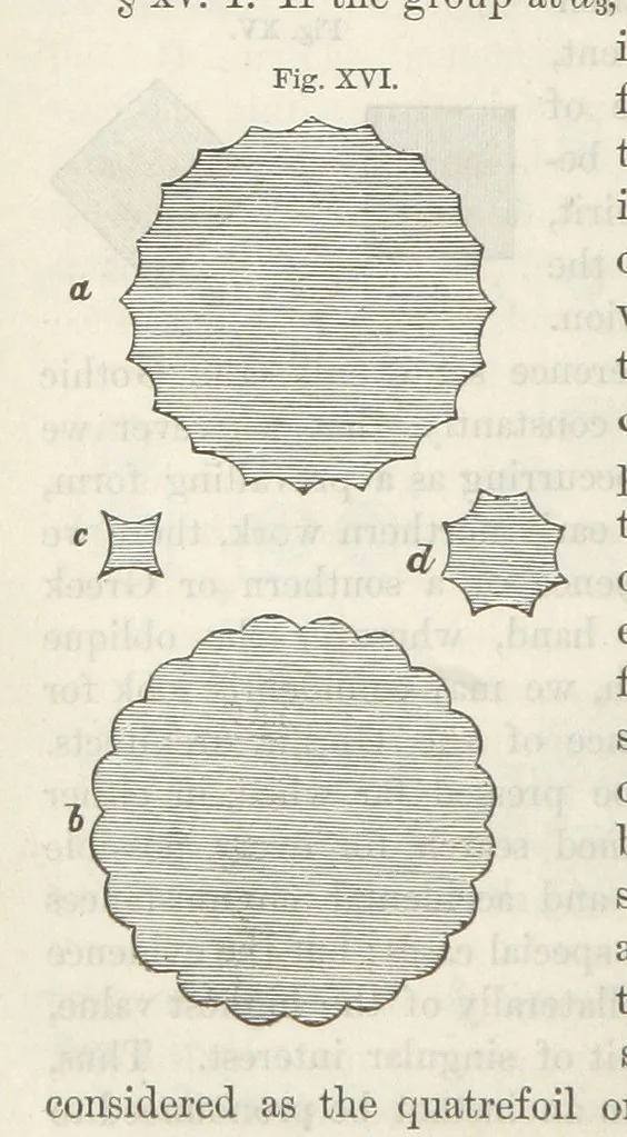 An illustration from Works. Popular edition.] 2 series, 1886, leaf 114