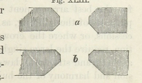 An illustration from Works. Popular edition.] 2 series, 1886, leaf 195