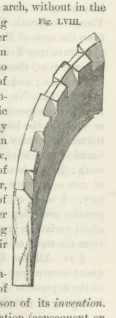 An illustration from Works. Popular edition.] 2 series, 1886, leaf 293