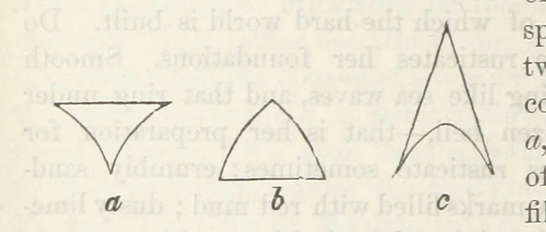 An illustration from Works. Popular edition.] 2 series, 1886, leaf 318