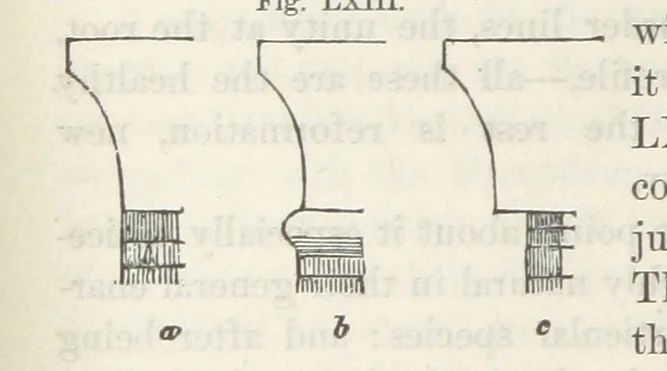 An illustration from Works. Popular edition.] 2 series, 1886, leaf 338