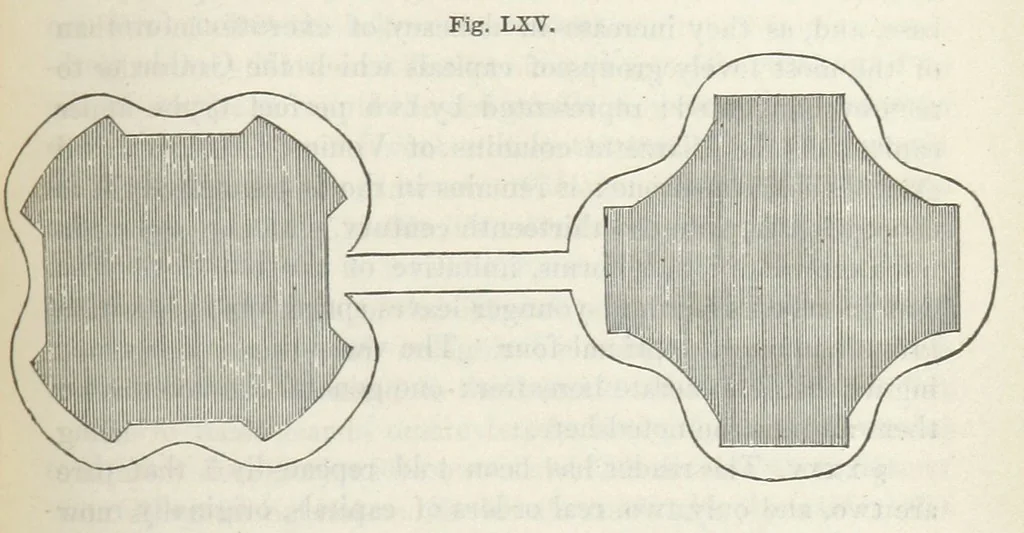 An illustration from Works. Popular edition.] 2 series, 1886, leaf 343