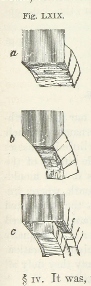 An illustration from Works. Popular edition.] 2 series, 1886, leaf 354