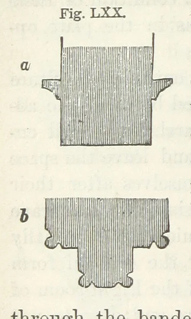 An illustration from Works. Popular edition.] 2 series, 1886, leaf 356