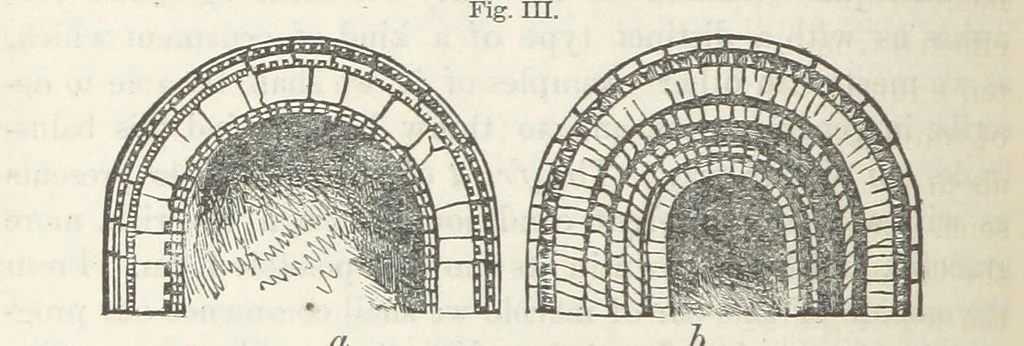 An illustration from Works. Popular edition.] 2 series, 1886, leaf 510