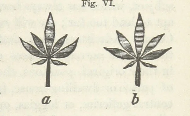 An illustration from Works. Popular edition.] 2 series, 1886, leaf 587
