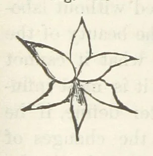 An illustration from Works. Popular edition.] 2 series, 1886, leaf 588