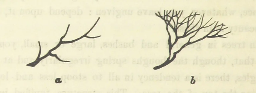 An illustration from Works. Popular edition.] 2 series, 1886, leaf 100
