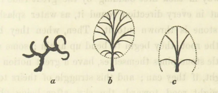 An illustration from Works. Popular edition.] 2 series, 1886, leaf 100