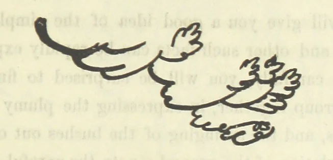 An illustration from Works. Popular edition.] 2 series, 1886, leaf 101