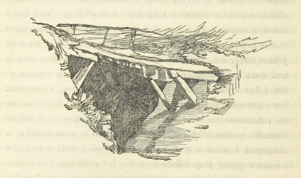 An illustration from Works. Popular edition.] 2 series, 1886, leaf 114