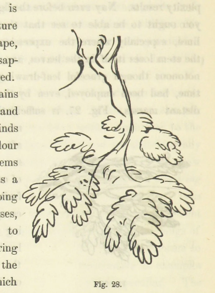 An illustration from Works. Popular edition.] 2 series, 1886, leaf 132