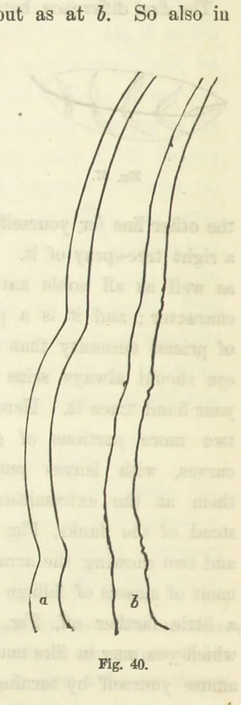 An illustration from Works. Popular edition.] 2 series, 1886, leaf 192