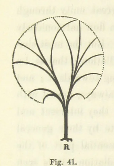An illustration from Works. Popular edition.] 2 series, 1886, leaf 194