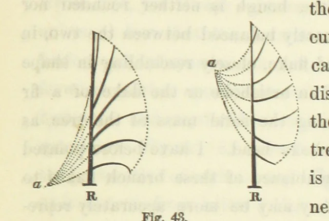 An illustration from Works. Popular edition.] 2 series, 1886, leaf 195