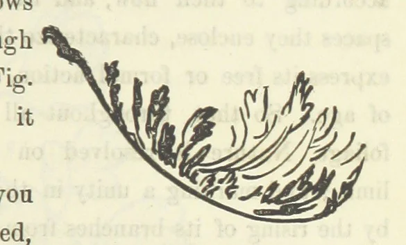 An illustration from Works. Popular edition.] 2 series, 1886, leaf 197