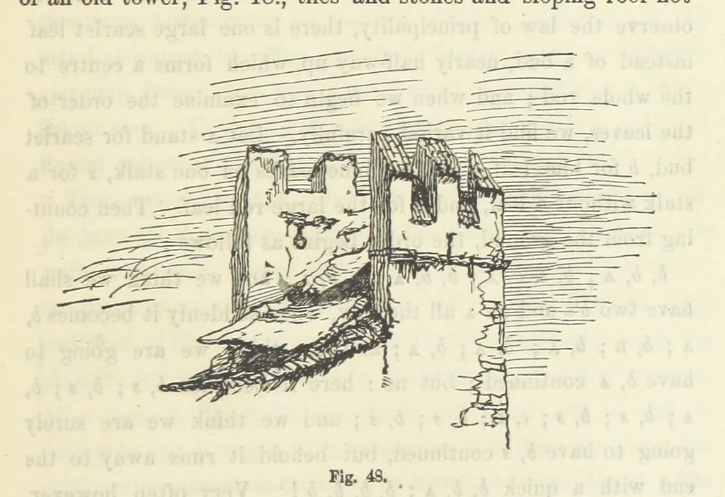 An illustration from Works. Popular edition.] 2 series, 1886, leaf 207