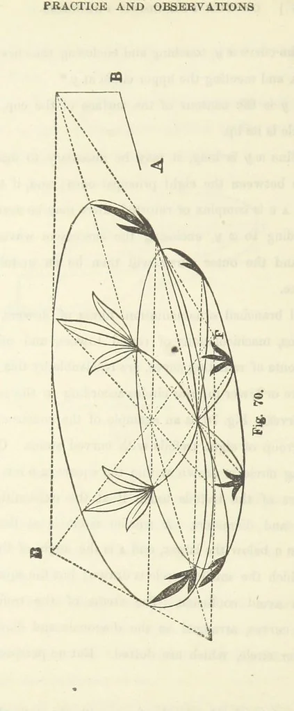An illustration from Works. Popular edition.] 2 series, 1886, leaf 376
