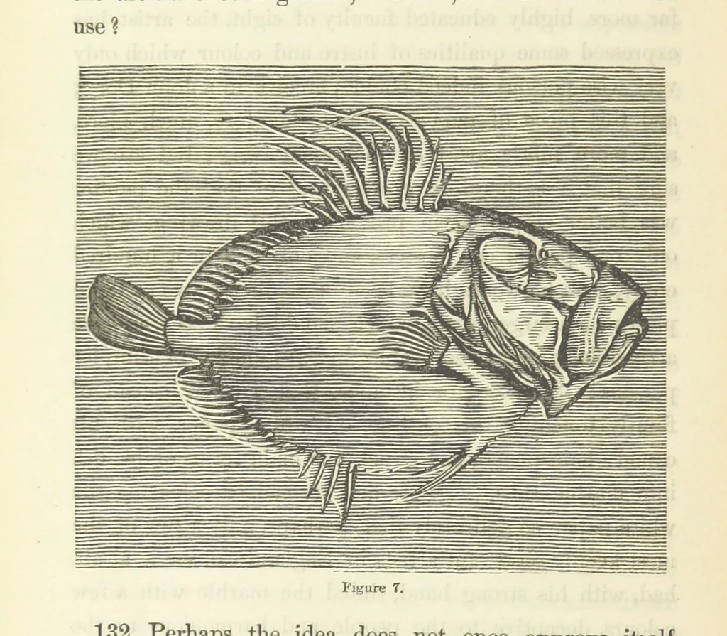 An illustration from Works. Popular edition.] 2 series, 1886, leaf 518