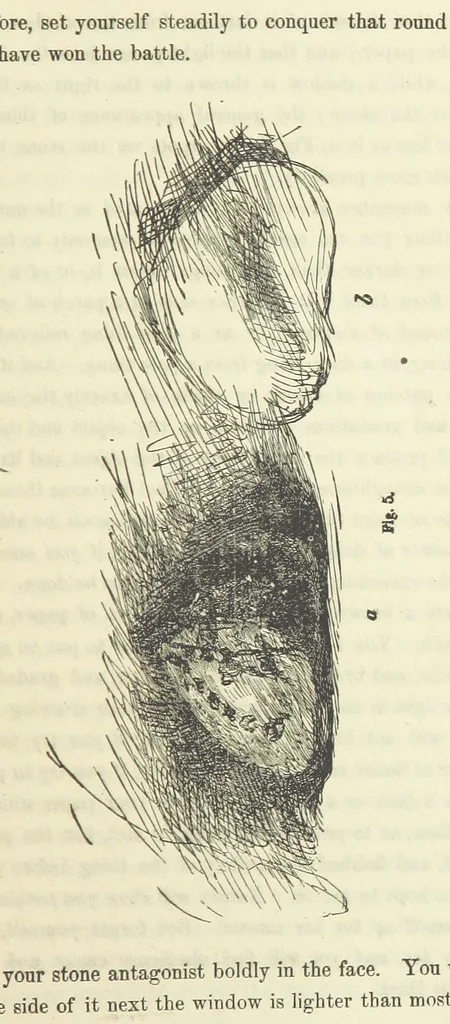 An illustration from Works. Popular edition.] 2 series, 1886, leaf 53