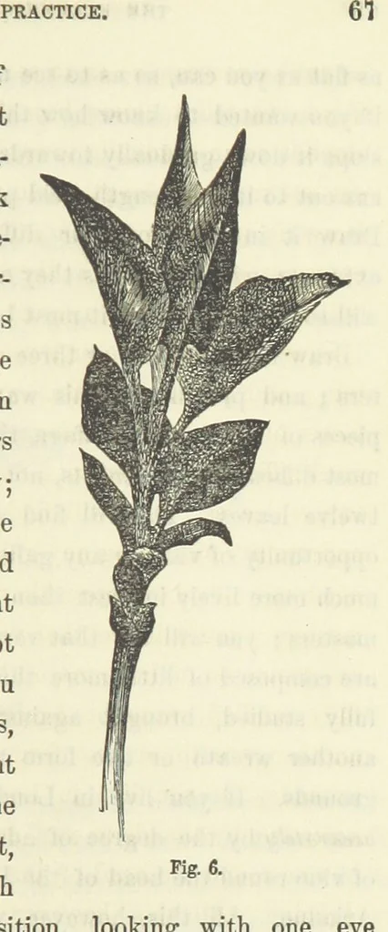 An illustration from Works. Popular edition.] 2 series, 1886, leaf 73