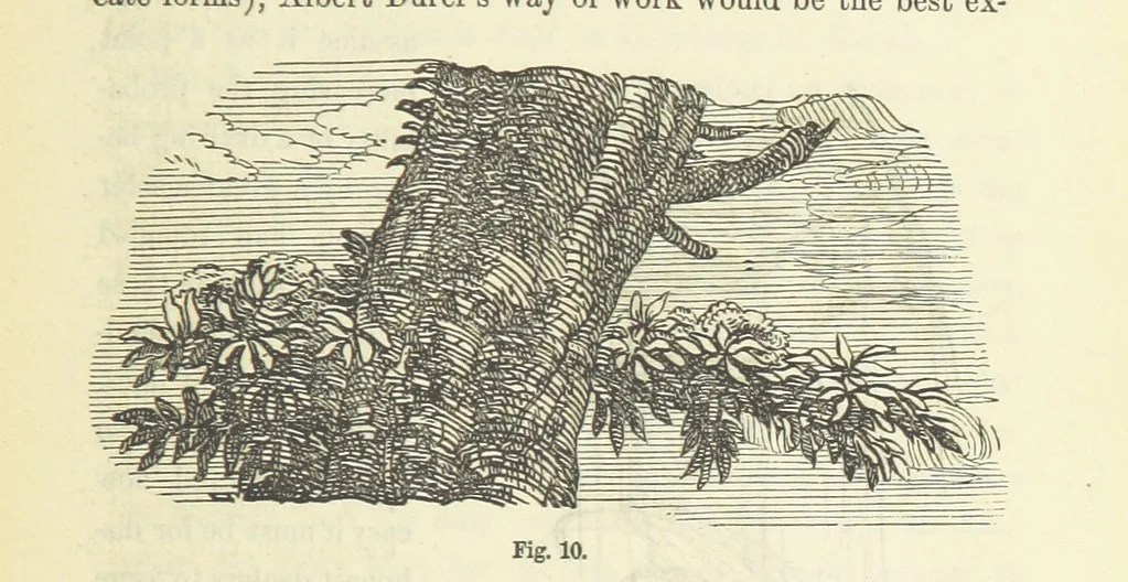 An illustration from Works. Popular edition.] 2 series, 1886, leaf 87