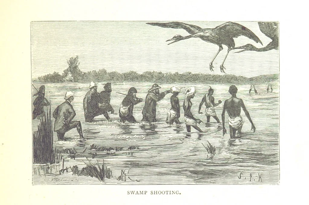 An illustration from The Prince of Wales' Tour: a diary in India; with some account of the visits ... to the Courts of Greece, Egypt, Spain, and Portugal ... With illustrations by S. P. Hall, 1877, leaf 235