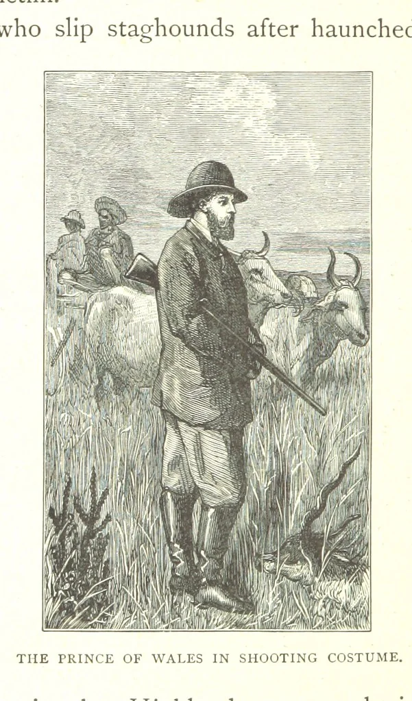 An illustration from The Prince of Wales' Tour: a diary in India; with some account of the visits ... to the Courts of Greece, Egypt, Spain, and Portugal ... With illustrations by S. P. Hall, 1877, leaf 272