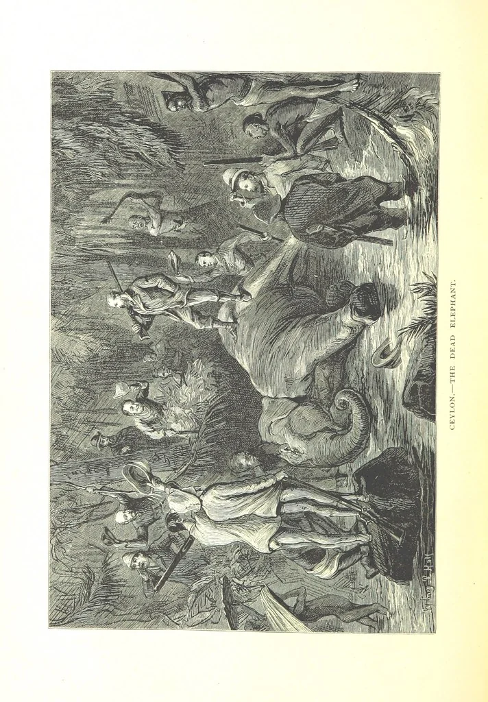 An illustration from The Prince of Wales' Tour: a diary in India; with some account of the visits ... to the Courts of Greece, Egypt, Spain, and Portugal ... With illustrations by S. P. Hall, 1877, leaf 354