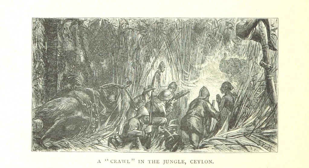 An illustration from The Prince of Wales' Tour: a diary in India; with some account of the visits ... to the Courts of Greece, Egypt, Spain, and Portugal ... With illustrations by S. P. Hall, 1877, leaf 364