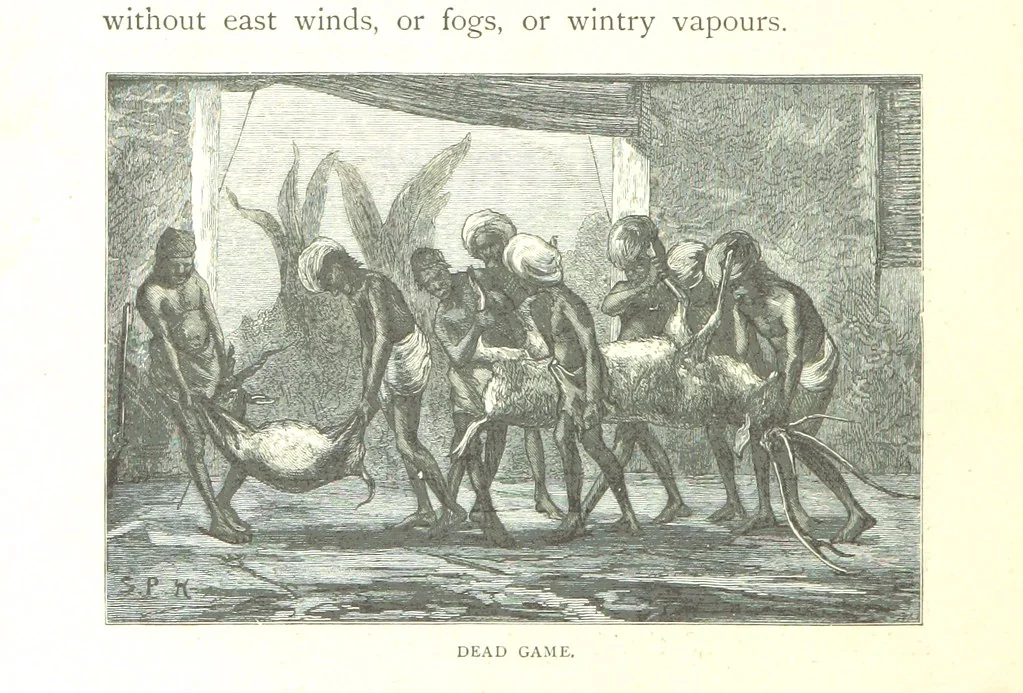 An illustration from The Prince of Wales' Tour: a diary in India; with some account of the visits ... to the Courts of Greece, Egypt, Spain, and Portugal ... With illustrations by S. P. Hall, 1877, leaf 422