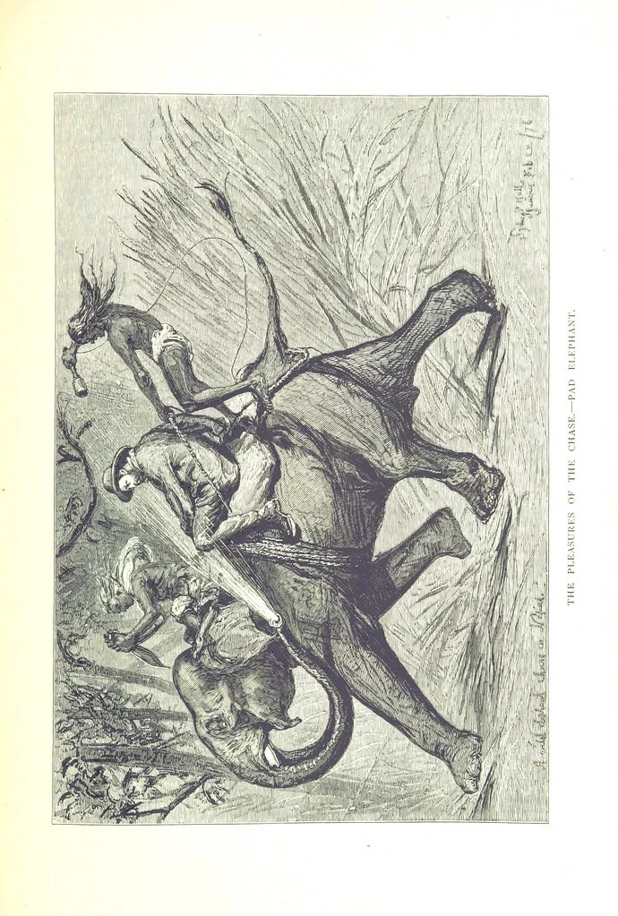An illustration from The Prince of Wales' Tour: a diary in India; with some account of the visits ... to the Courts of Greece, Egypt, Spain, and Portugal ... With illustrations by S. P. Hall, 1877, leaf 591
