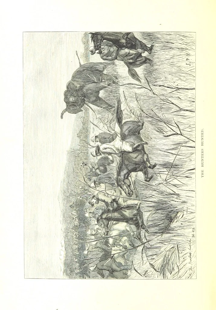 An illustration from The Prince of Wales' Tour: a diary in India; with some account of the visits ... to the Courts of Greece, Egypt, Spain, and Portugal ... With illustrations by S. P. Hall, 1877, leaf 602