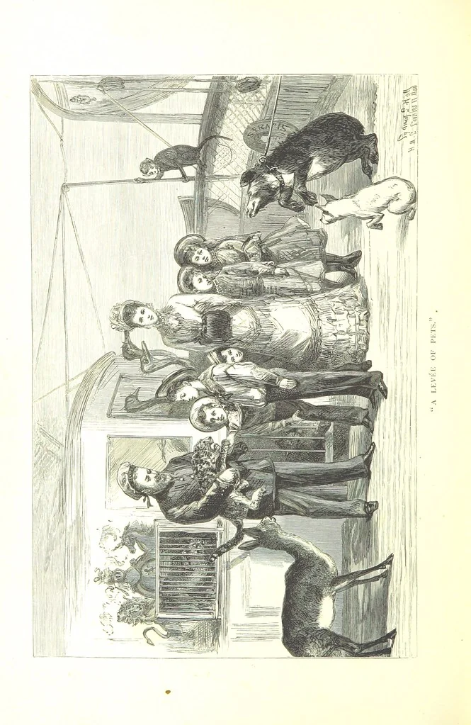 An illustration from The Prince of Wales' Tour: a diary in India; with some account of the visits ... to the Courts of Greece, Egypt, Spain, and Portugal ... With illustrations by S. P. Hall, 1877, leaf 684