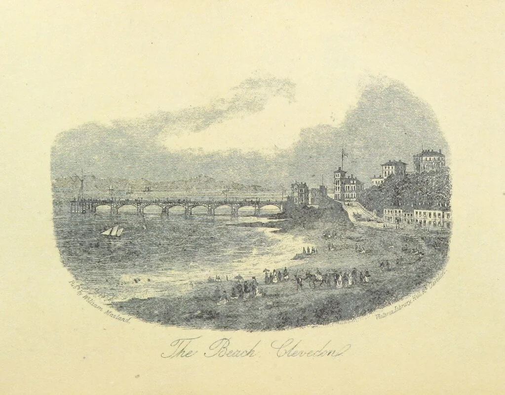 An illustration from The Complete Guide to Clevedon and its vicinity ... with notes on the natural history of the neighbourhood. By R. S. S. Illustrated, 1879, leaf 114