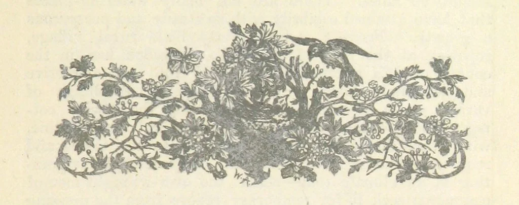 An illustration from The Complete Guide to Clevedon and its vicinity ... with notes on the natural history of the neighbourhood. By R. S. S. Illustrated, 1879, leaf 19