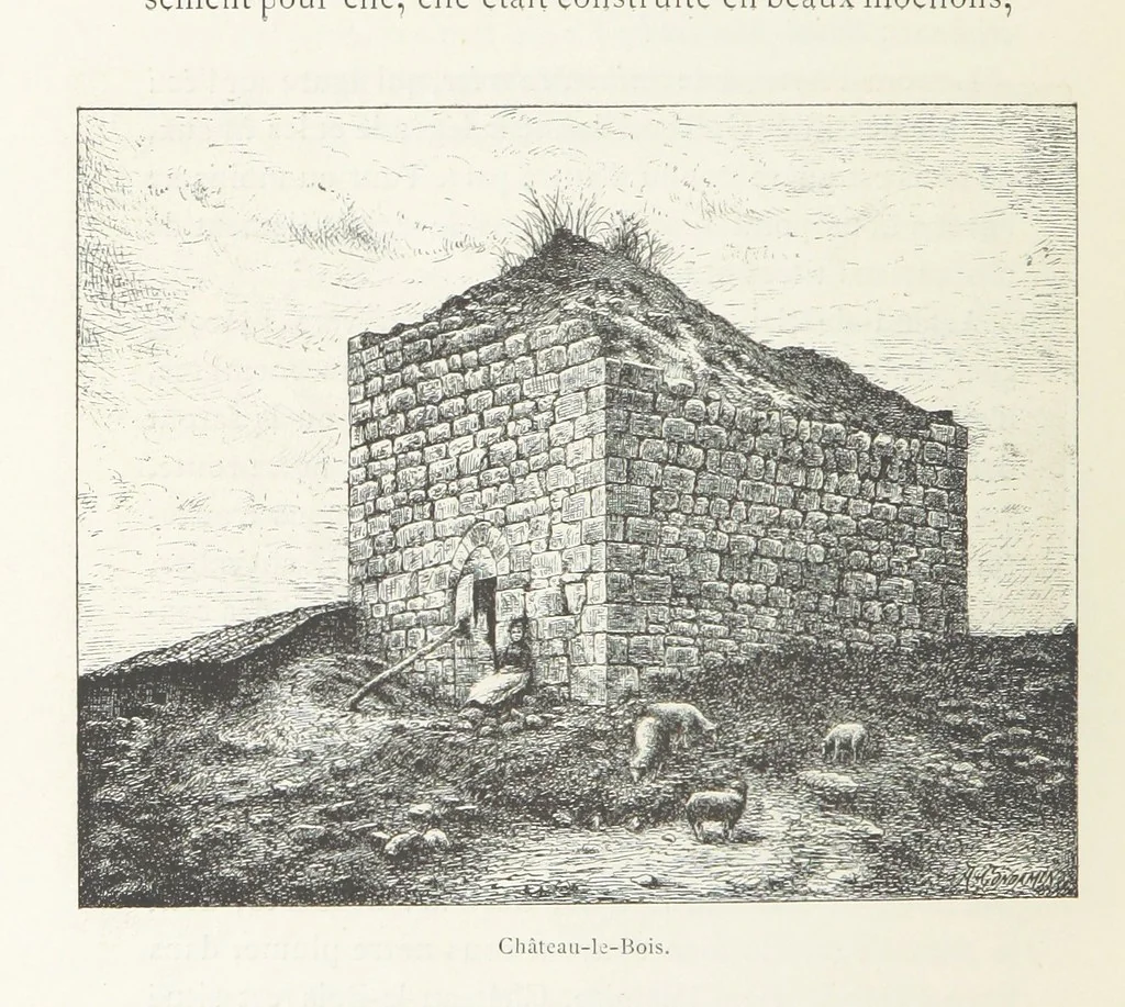 An illustration from Histoire de Saint-Bonnet-le-Chateau ... Ouvrage publié en collaboration par deux prêtres du diocèse de Lyon [James Condamin and François Langlois, 1885, leaf 386