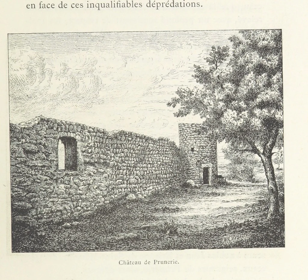 An illustration from Histoire de Saint-Bonnet-le-Chateau ... Ouvrage publié en collaboration par deux prêtres du diocèse de Lyon [James Condamin and François Langlois, 1885, leaf 387